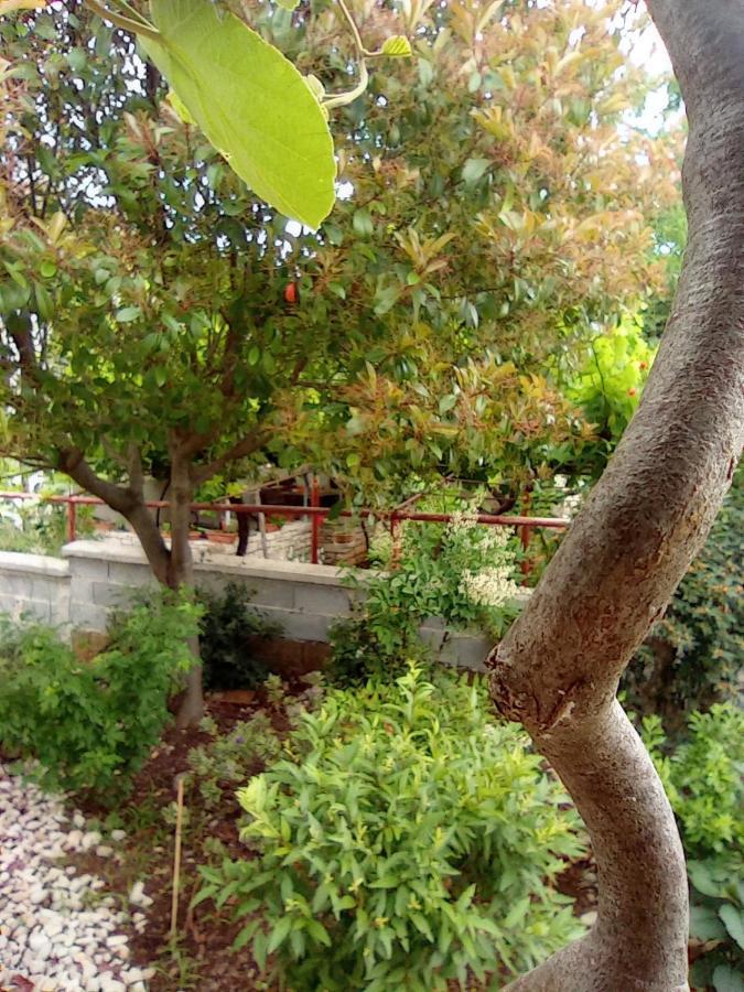 Apartments Anica بولا المظهر الخارجي الصورة