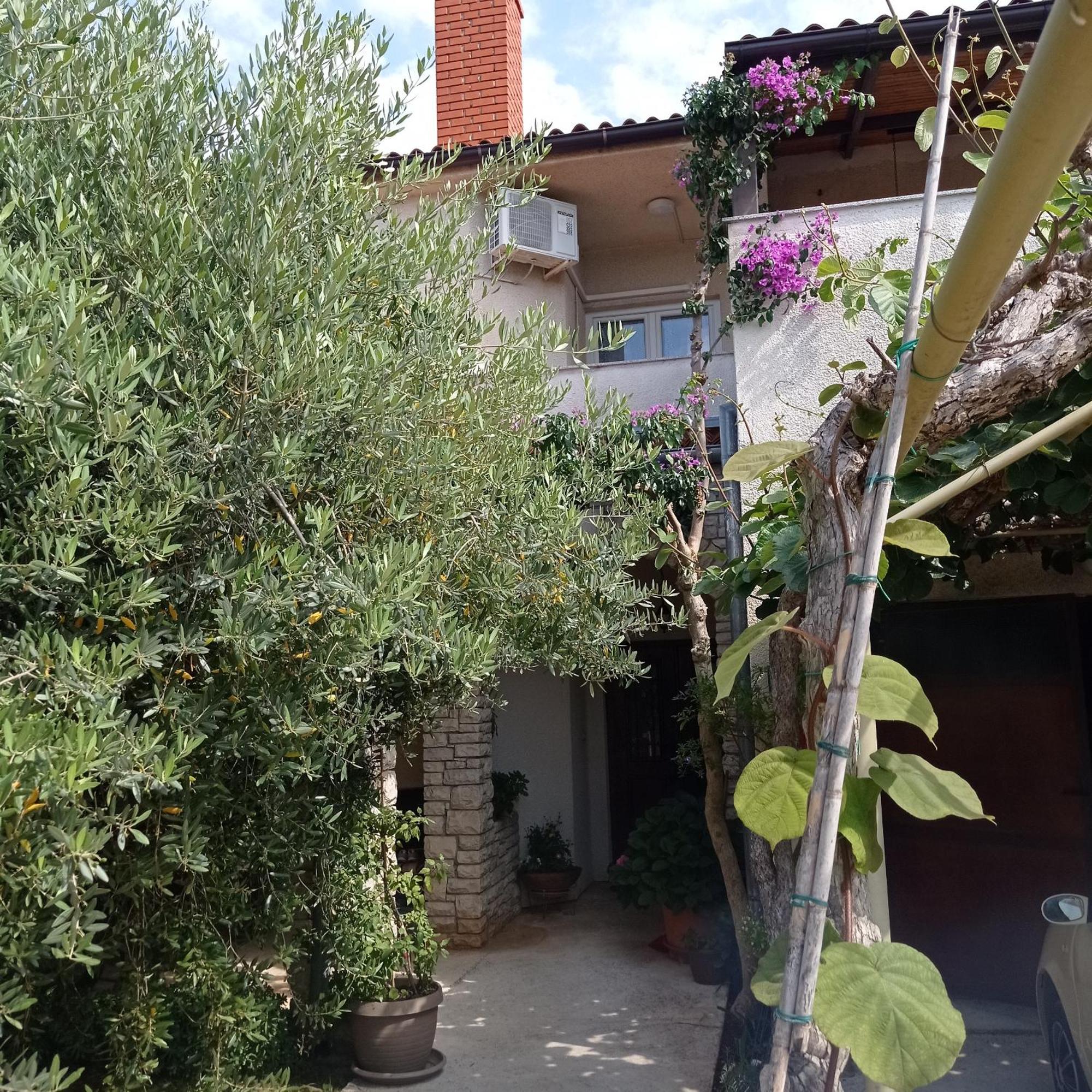 Apartments Anica بولا المظهر الخارجي الصورة