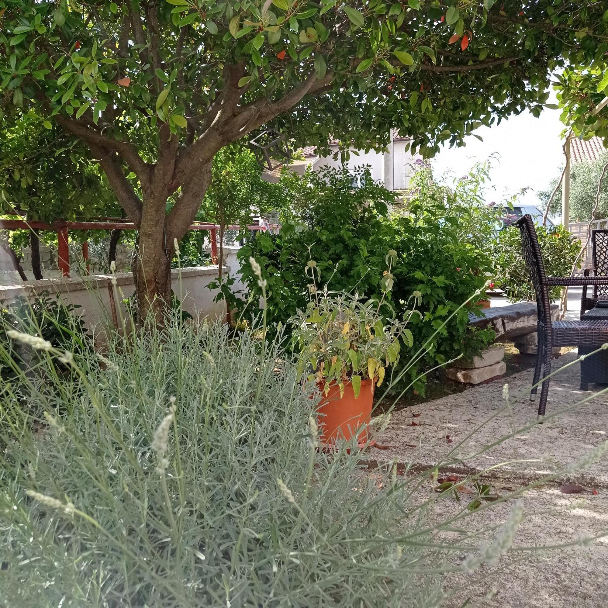 Apartments Anica بولا المظهر الخارجي الصورة